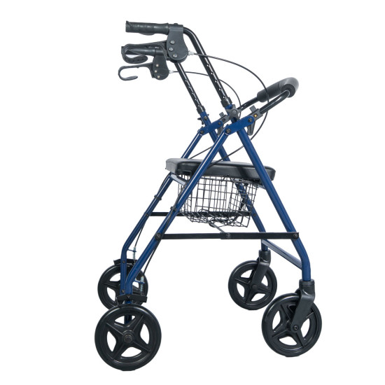 Περιπατητήρας Rollator Blue