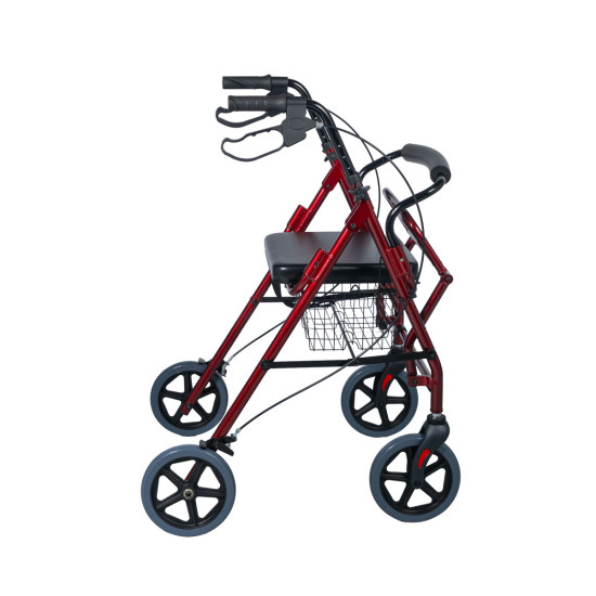 Περιπατητήρας Rollator “CHERRY” 2 ΣΕ 1