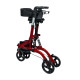Περιπατητήρας Rollator “RUBY”