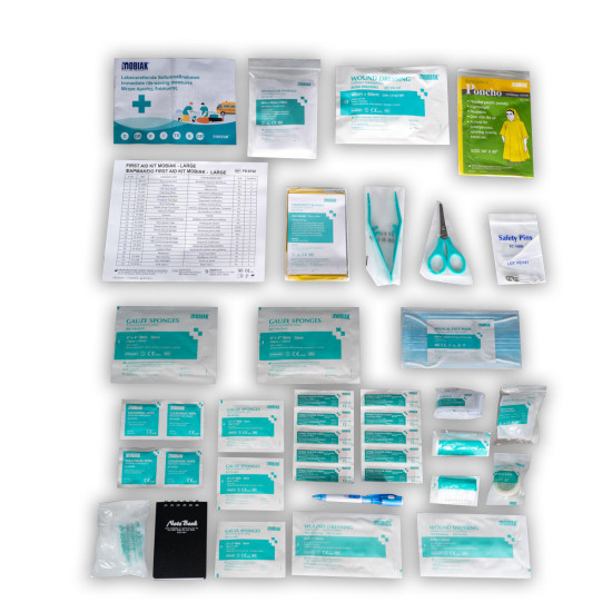 Φαρμακείο First Aid Kit - Large