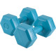 Αλτήρας Εξάγωνος Plastic Series 3,00Kg (Ζευγάρι)