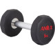 Aλτήρας Δεκάγωνος TPU Series - 5,0Kg