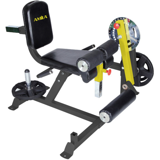 Leg extension
